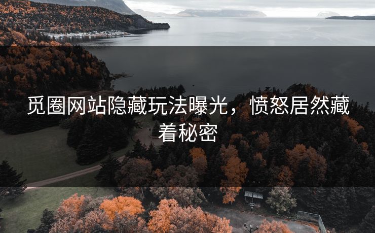 觅圈网站隐藏玩法曝光，愤怒居然藏着秘密