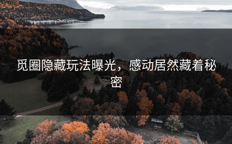 觅圈隐藏玩法曝光，感动居然藏着秘密
