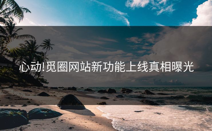 心动!觅圈网站新功能上线真相曝光