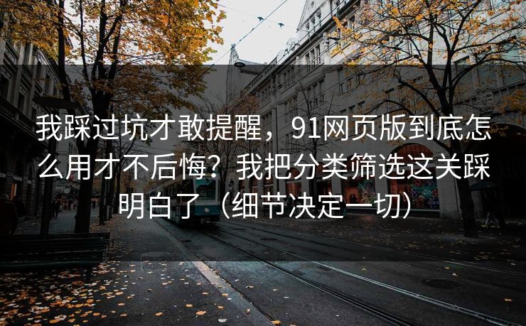 我踩过坑才敢提醒，91网页版到底怎么用才不后悔？我把分类筛选这关踩明白了（细节决定一切）